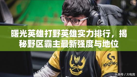 曙光英雄打野英雄实力排行，揭秘野区霸主最新强度与地位