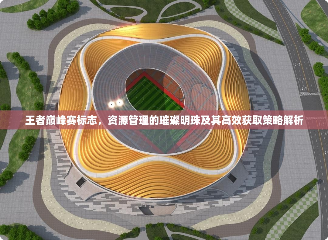 王者巅峰赛标志，资源管理的璀璨明珠及其高效获取策略解析