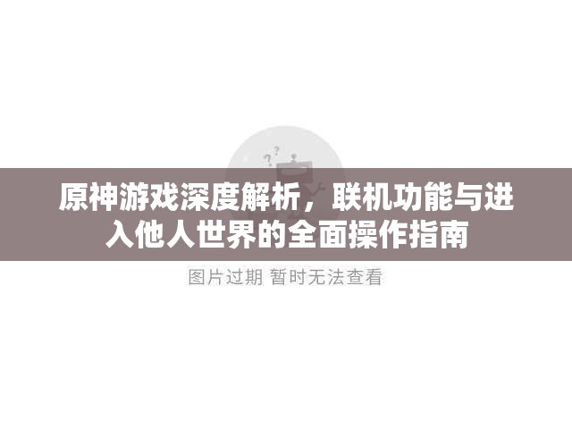 原神游戏深度解析，联机功能与进入他人世界的全面操作指南