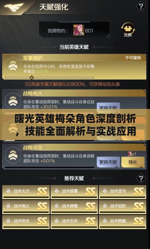 曙光英雄梅朵角色深度剖析，技能全面解析与实战应用玩法指南