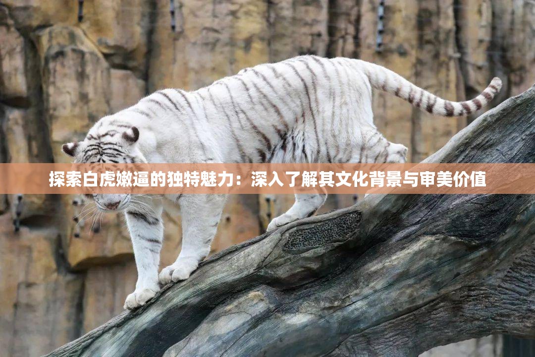 探索白虎嫩逼的独特魅力：深入了解其文化背景与审美价值