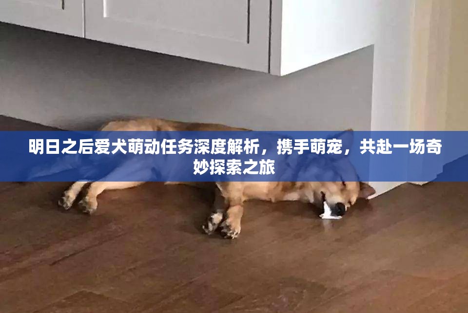 明日之后爱犬萌动任务深度解析，携手萌宠，共赴一场奇妙探索之旅