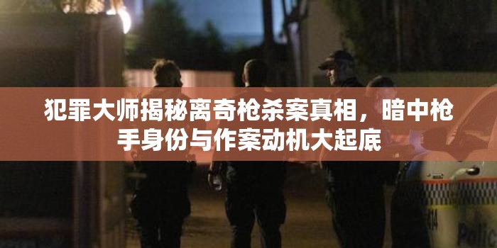 犯罪大师揭秘离奇枪杀案真相，暗中枪手身份与作案动机大起底