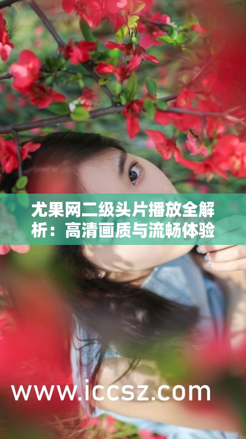 尤果网二级头片播放全解析：高清画质与流畅体验，尽享视觉盛宴