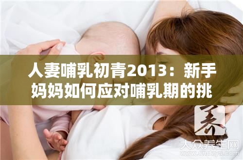 人妻哺乳初青2013：新手妈妈如何应对哺乳期的挑战与经验分享