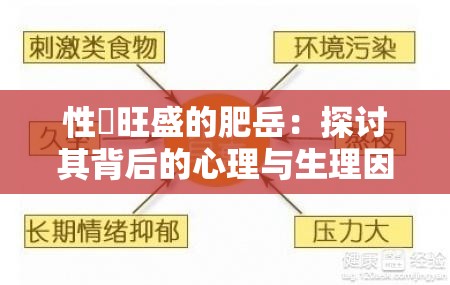 性慾旺盛的肥岳：探讨其背后的心理与生理因素及社会影响