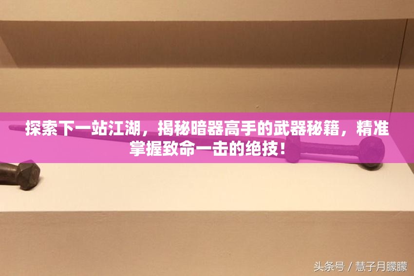 探索下一站江湖，揭秘暗器高手的武器秘籍，精准掌握致命一击的绝技！