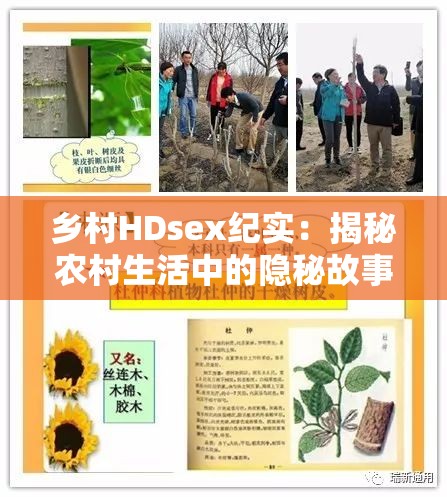 乡村HDsex纪实：揭秘农村生活中的隐秘故事与真实情感记录