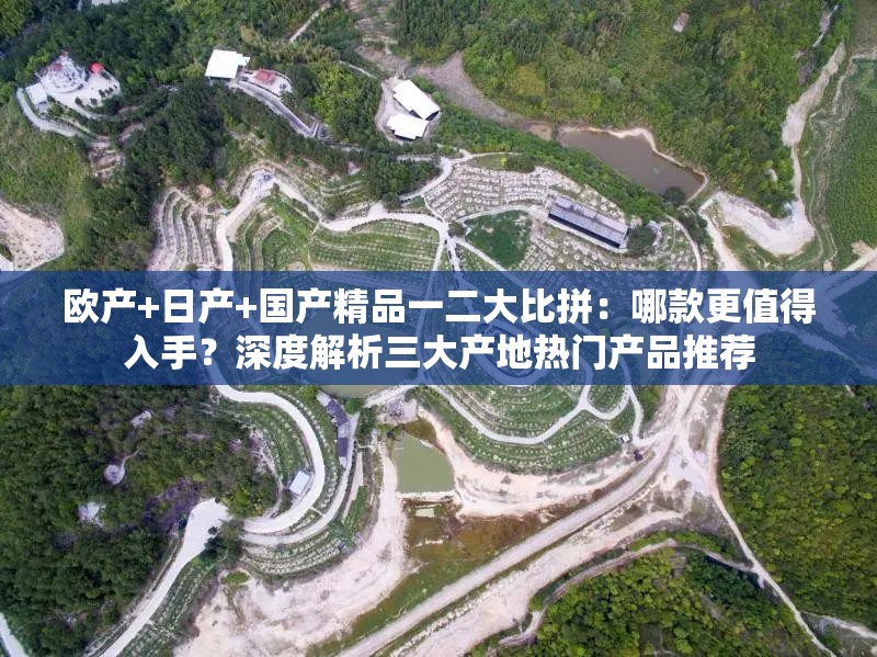 欧产+日产+国产精品一二大比拼：哪款更值得入手？深度解析三大产地热门产品推荐