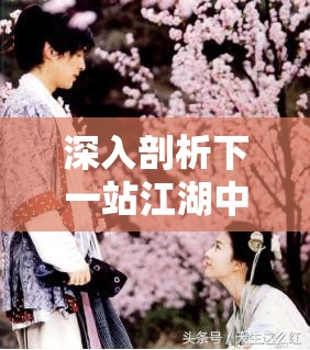 深入剖析下一站江湖中红颜乱任务的禁忌内容及其深远影响