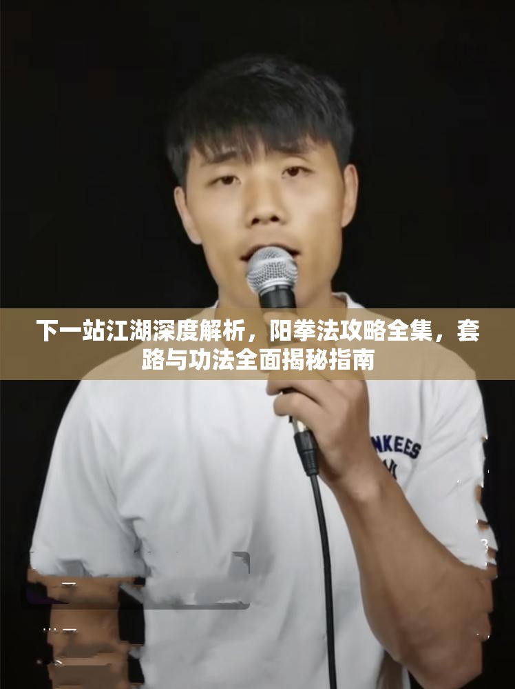 下一站江湖深度解析，阳拳法攻略全集，套路与功法全面揭秘指南