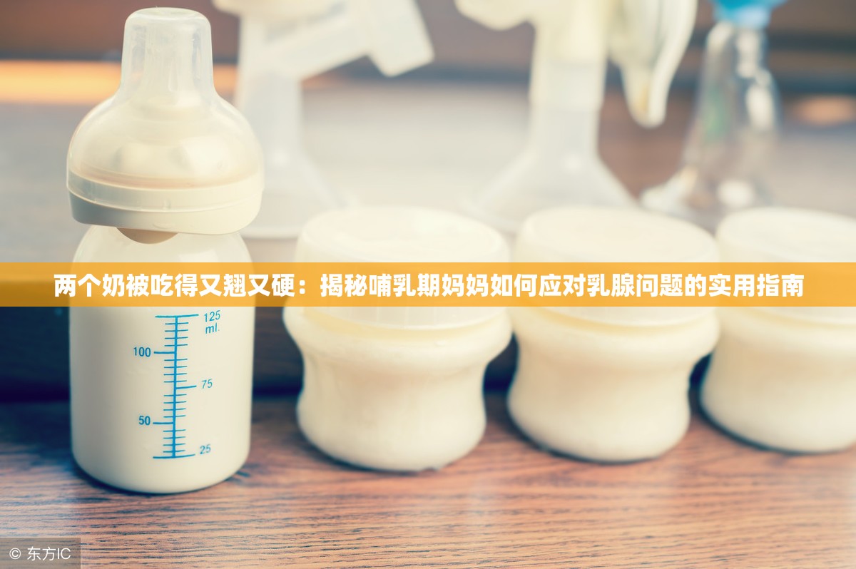 两个奶被吃得又翘又硬：揭秘哺乳期妈妈如何应对乳腺问题的实用指南