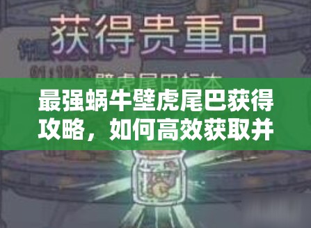 最强蜗牛壁虎尾巴获得攻略，如何高效获取并最大化其游戏价值