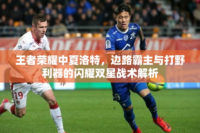 王者荣耀中夏洛特，边路霸主与打野利器的闪耀双星战术解析