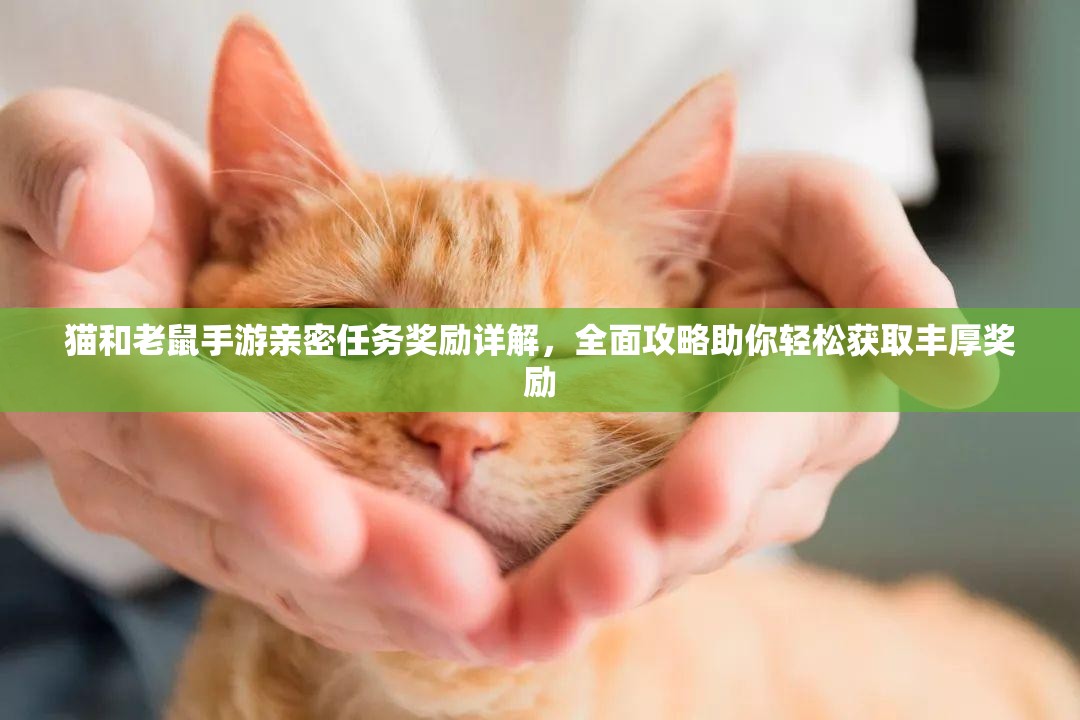 猫和老鼠手游亲密任务奖励详解，全面攻略助你轻松获取丰厚奖励