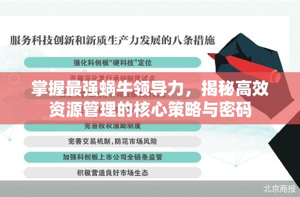掌握最强蜗牛领导力，揭秘高效资源管理的核心策略与密码