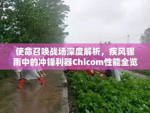 使命召唤战场深度解析，疾风骤雨中的冲锋利器Chicom性能全览