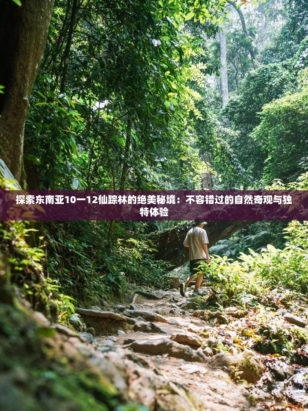 探索东南亚10一12仙踪林的绝美秘境：不容错过的自然奇观与独特体验