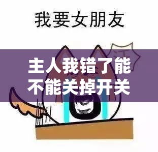 主人我错了能不能关掉开关忘羡：探讨网络热梗背后的情感与幽默