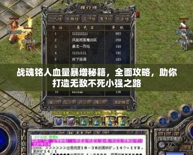 战魂铭人血量暴增秘籍，全面攻略，助你打造无敌不死小强之路