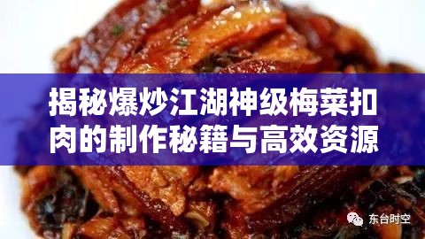 揭秘爆炒江湖神级梅菜扣肉的制作秘籍与高效资源管理艺术