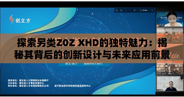 探索另类Z0Z XHD的独特魅力：揭秘其背后的创新设计与未来应用前景
