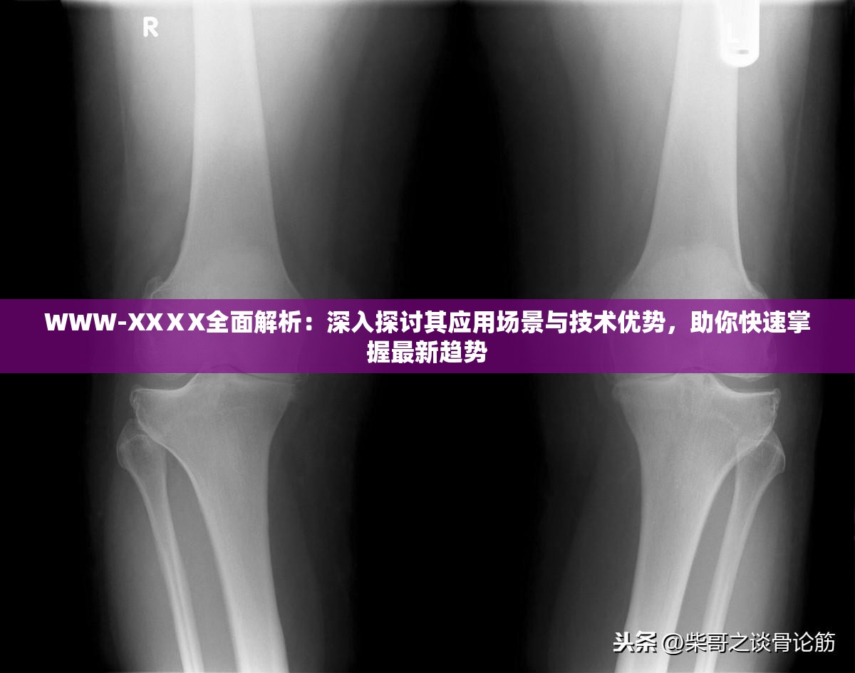 WWW-XXⅩX全面解析：深入探讨其应用场景与技术优势，助你快速掌握最新趋势