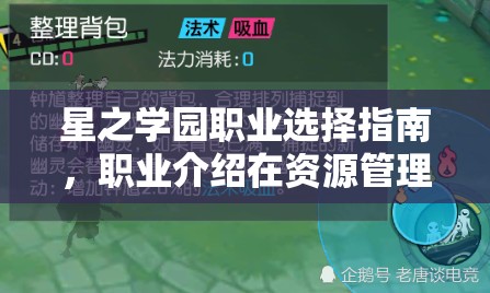 星之学园职业选择指南，职业介绍在资源管理中的重要性及实施高效策略