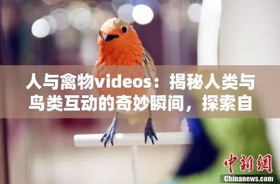 人与禽物videos：揭秘人类与鸟类互动的奇妙瞬间，探索自然界中的和谐共处