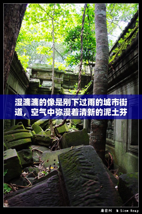 湿漉漉的像是刚下过雨的城市街道，空气中弥漫着清新的泥土芬芳