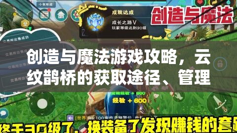 创造与魔法游戏攻略，云纹鹊桥的获取途径、管理技巧与价值最大化策略