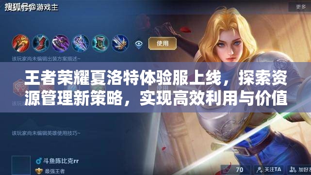 王者荣耀夏洛特体验服上线，探索资源管理新策略，实现高效利用与价值最大化