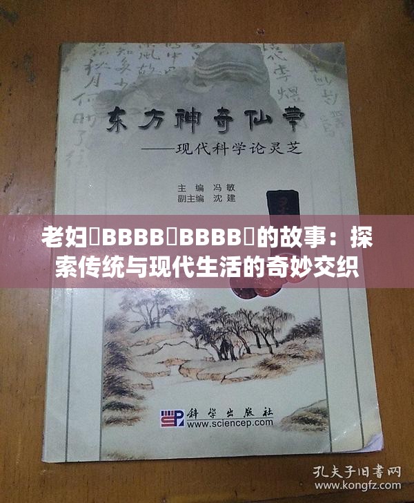 老妇槡BBBB槡BBBB槡的故事：探索传统与现代生活的奇妙交织