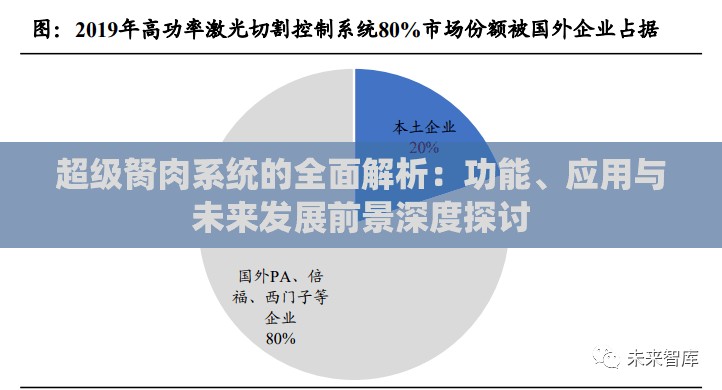 超级胬肉系统的全面解析：功能、应用与未来发展前景深度探讨