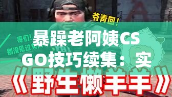 暴躁老阿姨CSGO技巧续集：实战经验大揭秘，助你轻松提升游戏水平