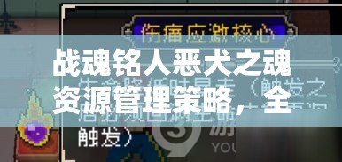 战魂铭人恶犬之魂资源管理策略，全面解析使用效果与攻略指南