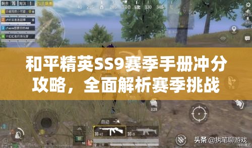 和平精英SS9赛季手册冲分攻略，全面解析赛季挑战与积分获取技巧