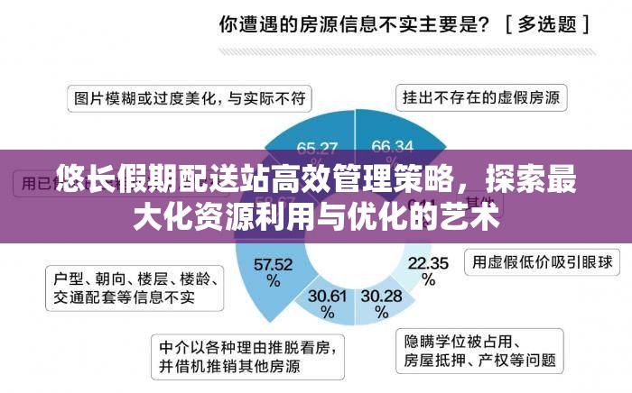 悠长假期配送站高效管理策略，探索最大化资源利用与优化的艺术