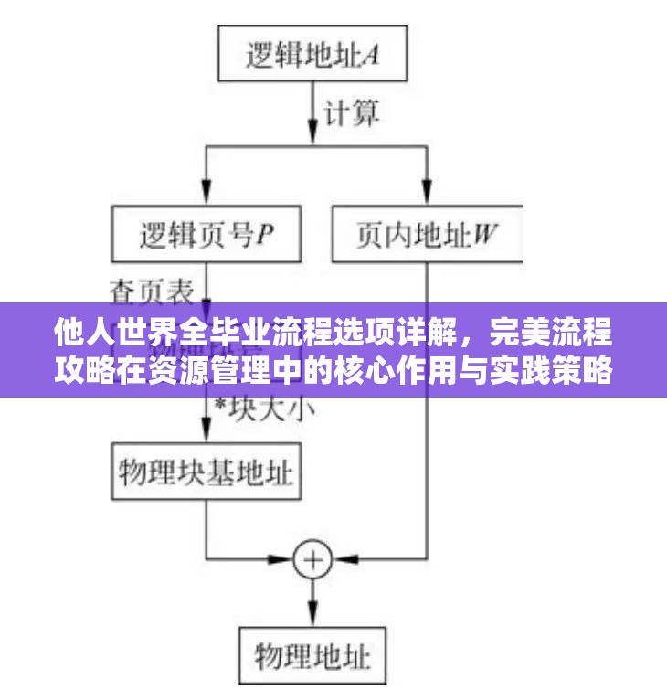 他人世界全毕业流程选项详解，完美流程攻略在资源管理中的核心作用与实践策略