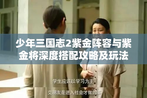 少年三国志2紫金阵容与紫金将深度搭配攻略及玩法解析