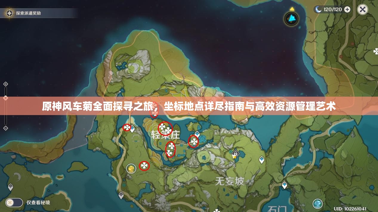 原神风车菊全面探寻之旅，坐标地点详尽指南与高效资源管理艺术