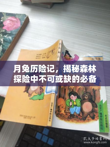 月兔历险记，揭秘森林探险中不可或缺的必备好物清单
