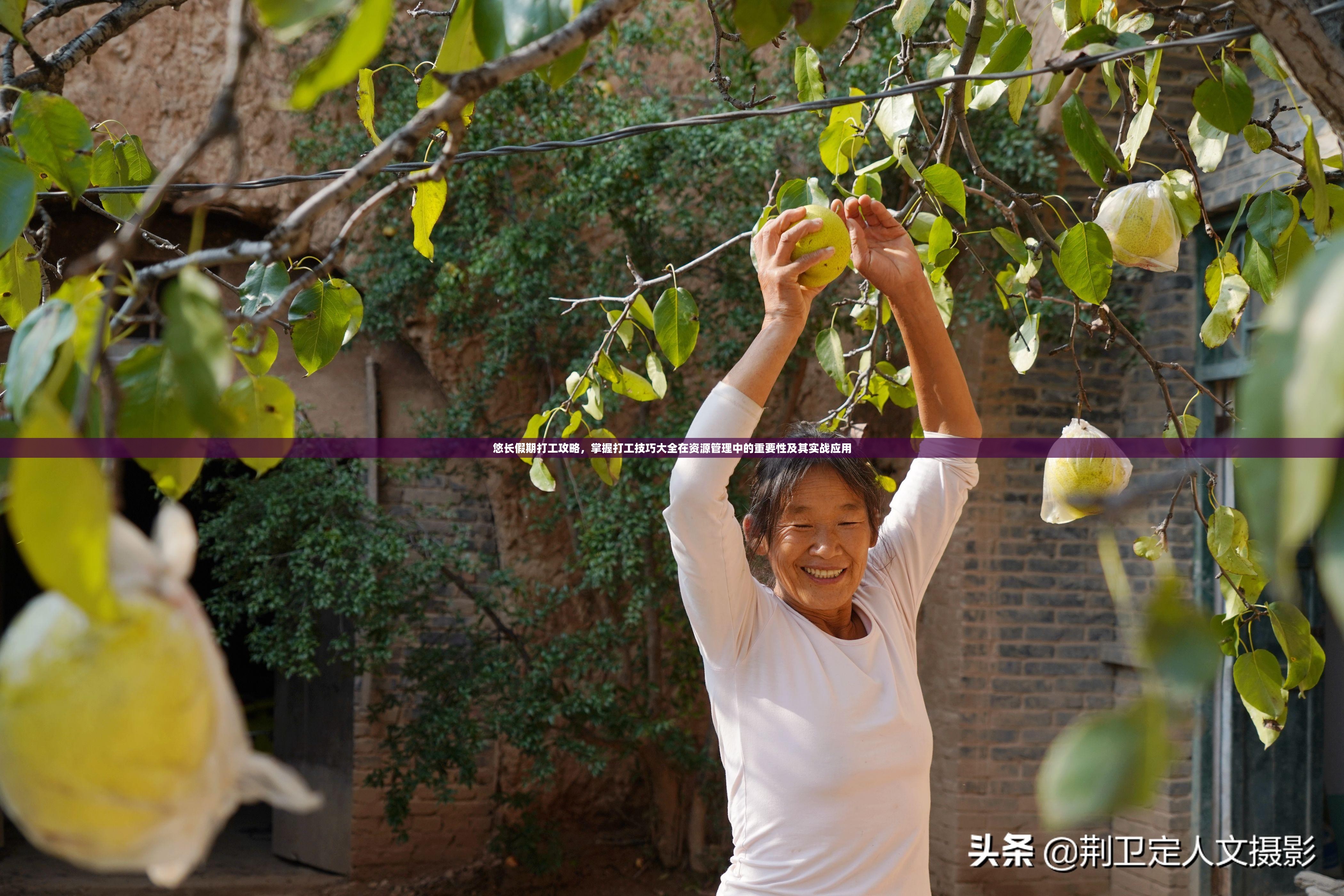 悠长假期打工攻略，掌握打工技巧大全在资源管理中的重要性及其实战应用