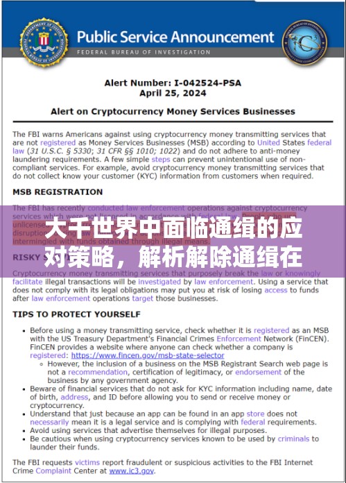 大千世界中面临通缉的应对策略，解析解除通缉在资源管理中的关键性及实施方法