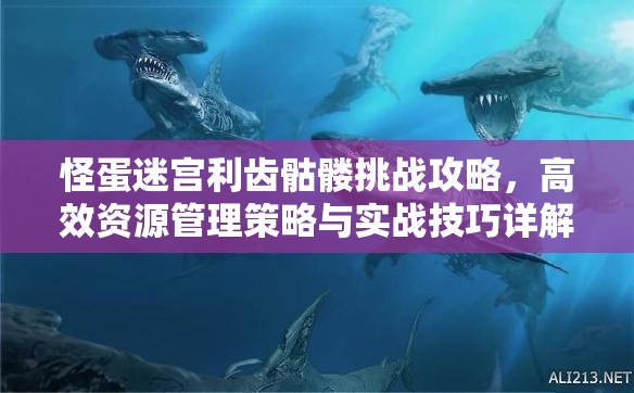 怪蛋迷宫利齿骷髅挑战攻略，高效资源管理策略与实战技巧详解