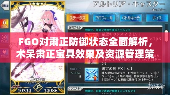 FGO对肃正防御状态全面解析，术呆肃正宝具效果及资源管理策略探讨