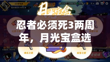 忍者必须死3两周年，月光宝盒选择指南，资源管理重要性及高效策略解析
