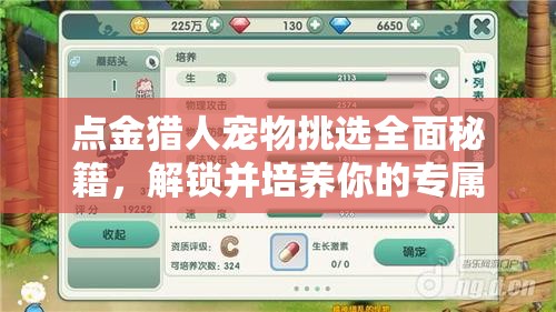 点金猎人宠物挑选全面秘籍，解锁并培养你的专属冒险新伙伴！