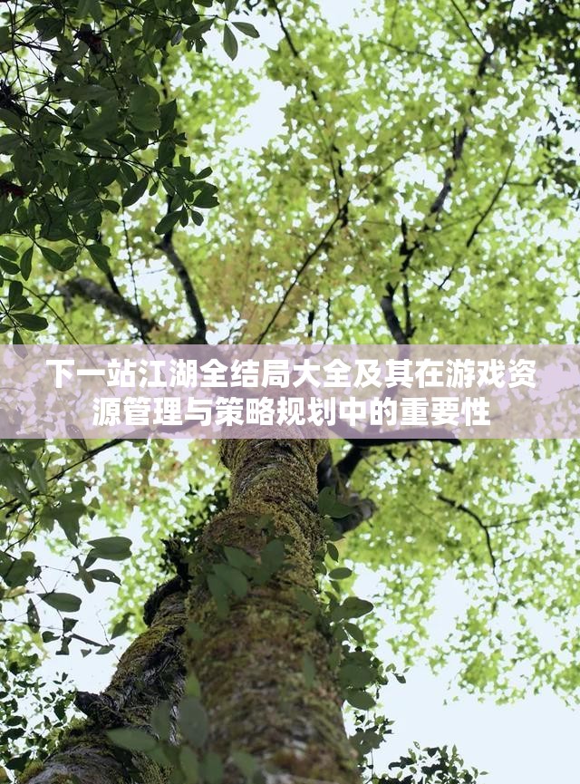 下一站江湖全结局大全及其在游戏资源管理与策略规划中的重要性