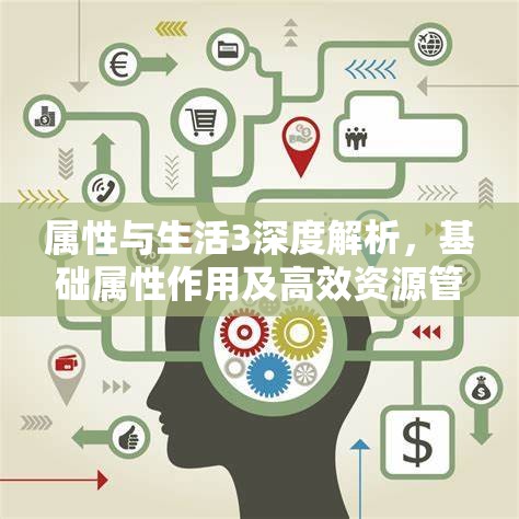 属性与生活3深度解析，基础属性作用及高效资源管理策略